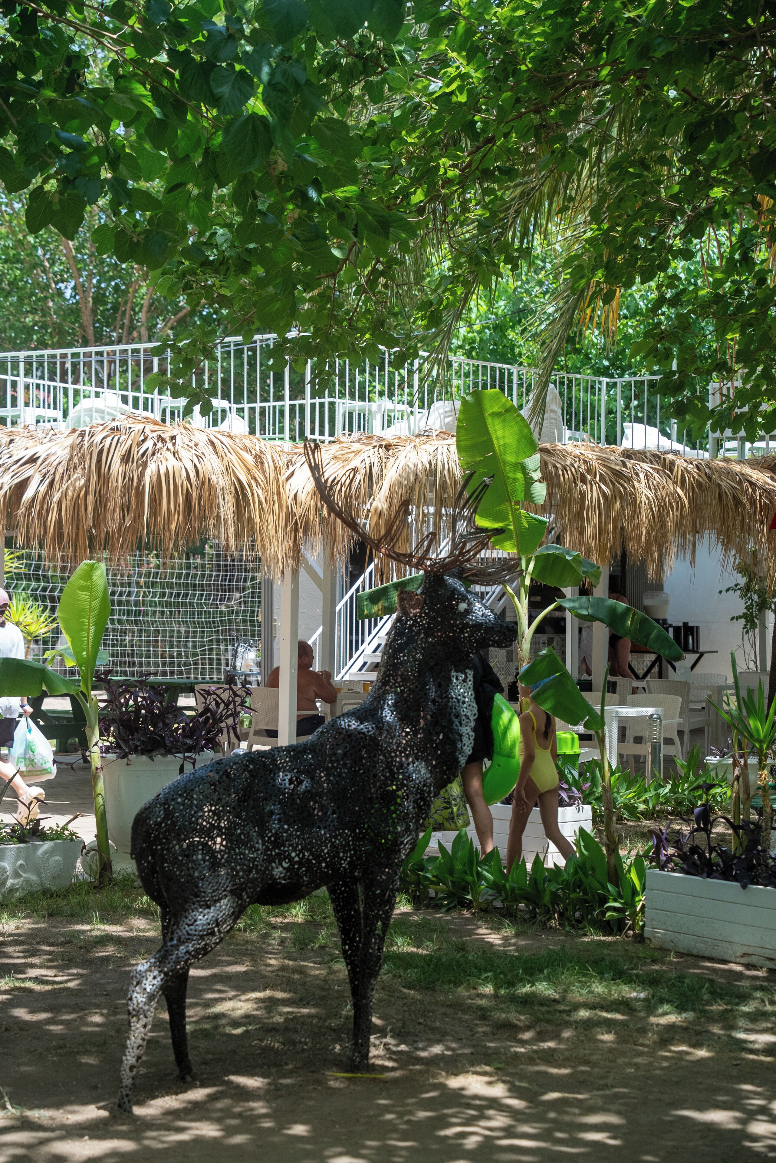 Photo - Camyuva Beach Hotel