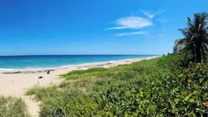 Une plage offrant une vue dégagée sur l’océan, un sentier sablonneux menant à l’eau et quelques zones verdoyantes de part et d’autre.