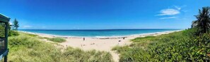 Playa en los alrededores, camastros y toallas de playa 