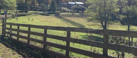 Un paysage rural avec une clôture en bois, un chemin de terre et une maison en arrière-plan.