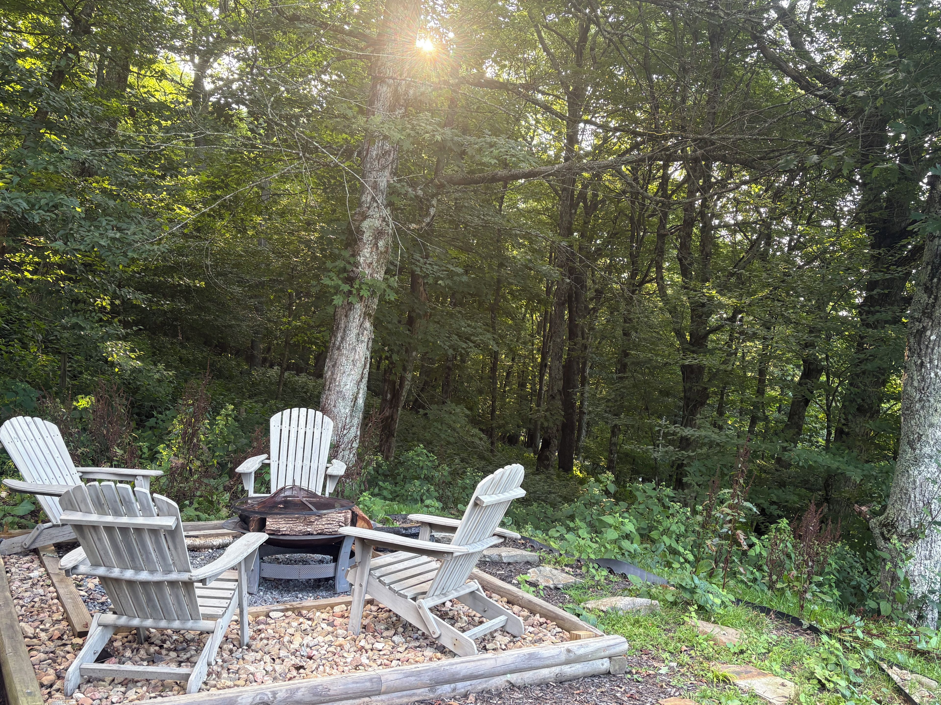 A forested area with a fire pit and Adirondack chairs.
