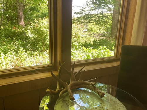 OMG!!! Cozy Log GUEST CABIN on Horse Ranch w Mountain Views. Pet Friendly!