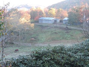 Property grounds - CABIN GUESTHOUSE on Horse Ranch w Mtn Views (Boone)