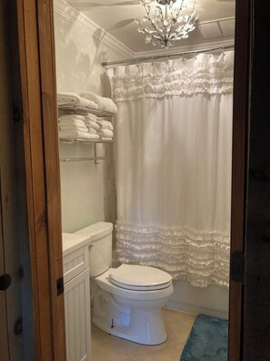 Combined shower/bathtub, towels, soap, toilet paper