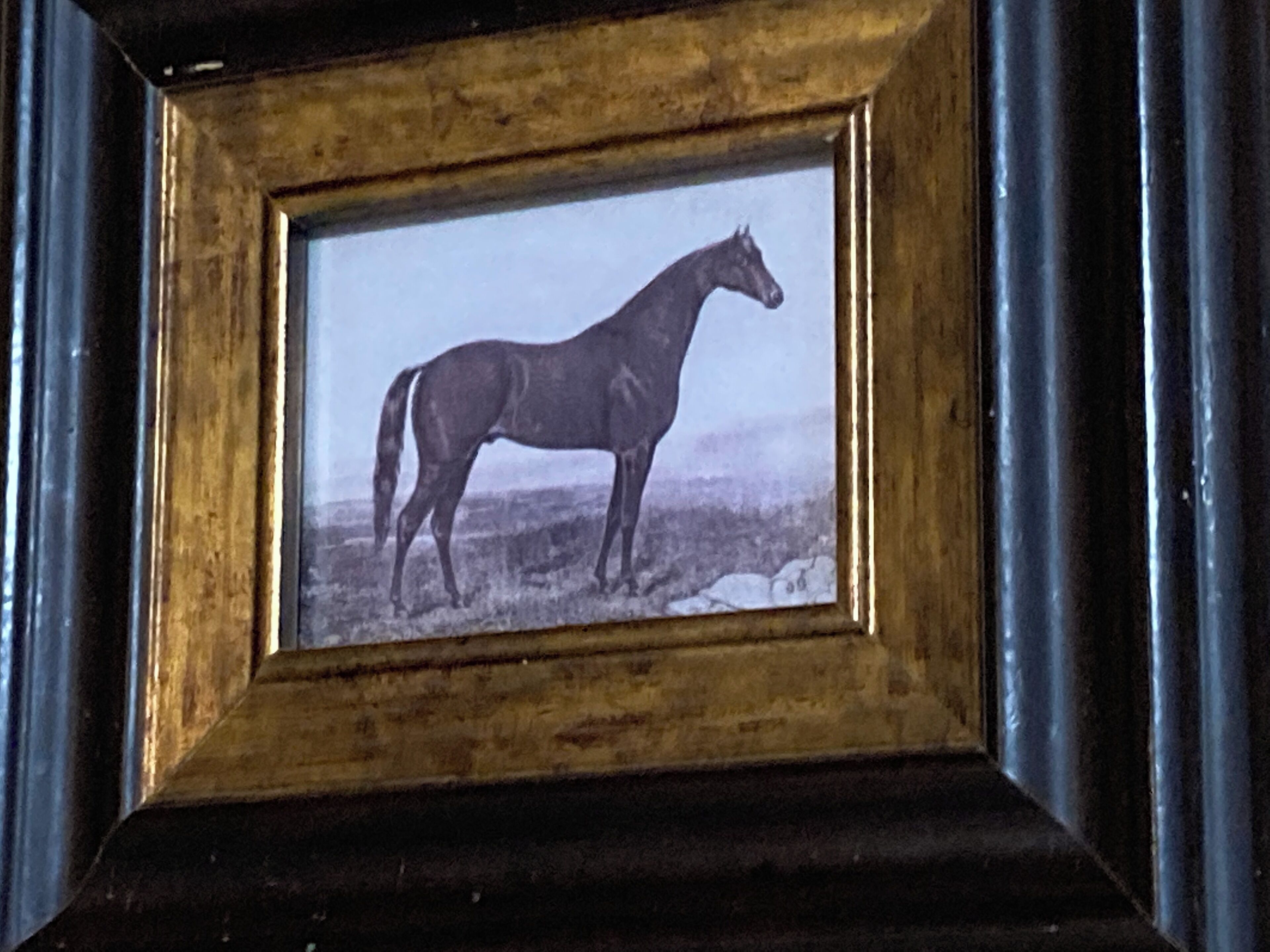 Un cuadro enmarco con la imagen de un caballo, en un marco oscuro y con textura.