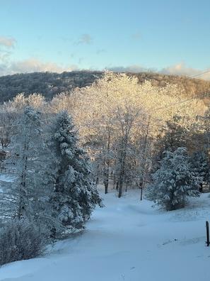 Un paysage enneigé avec des arbres et un ciel dégagé.