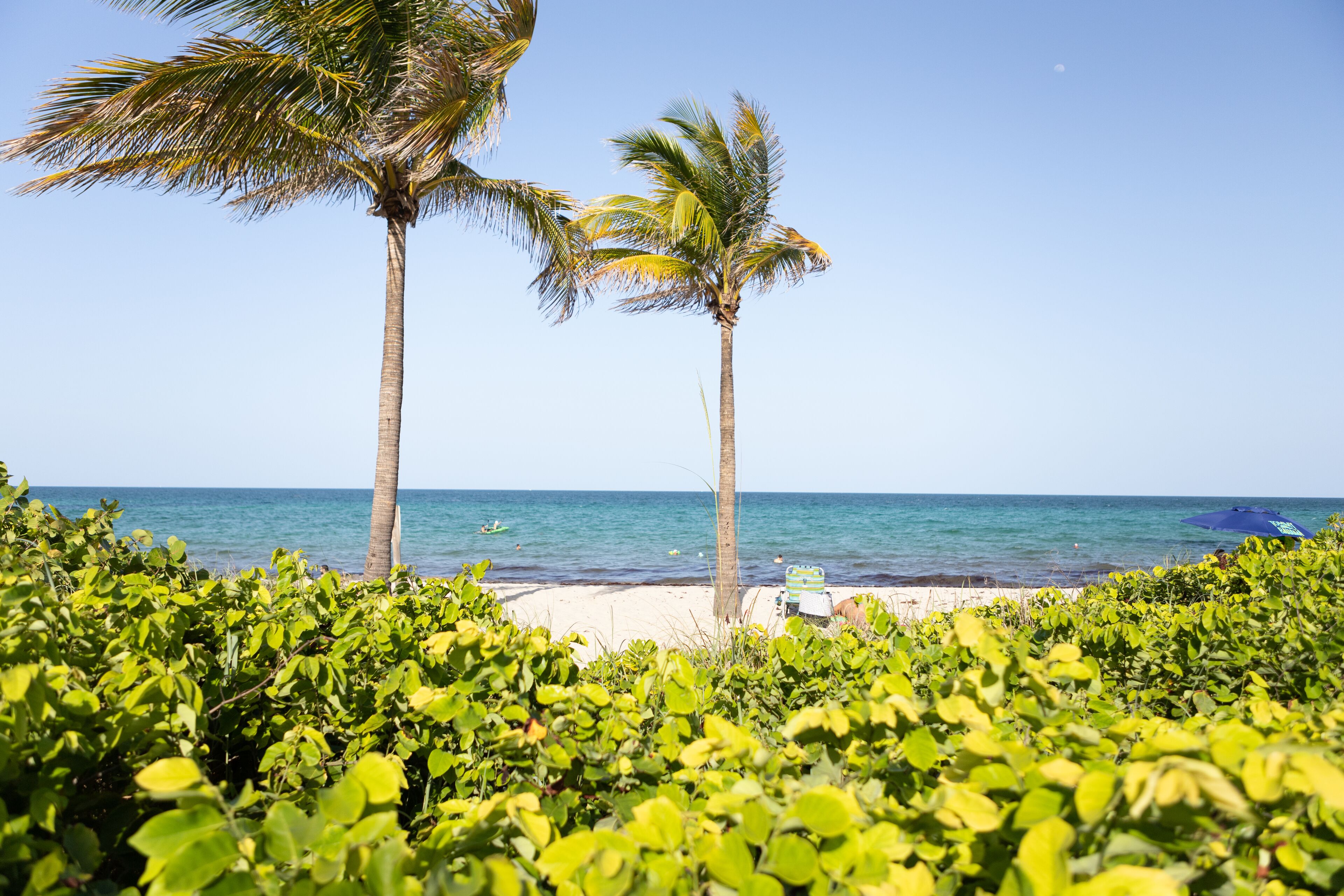 Tumbonas y toallas de playa