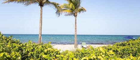 Sun-loungers, beach towels