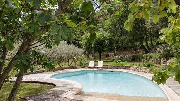 A swimming pool with a wooden deck and lounge chairs, surrounded by trees and a stone wall. - Pool, Villa La Colline, beautiful view of Mt Ventoux (Suzette)