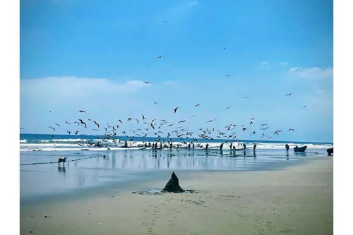 Very cozy and spacious 3 bedroom house furnished