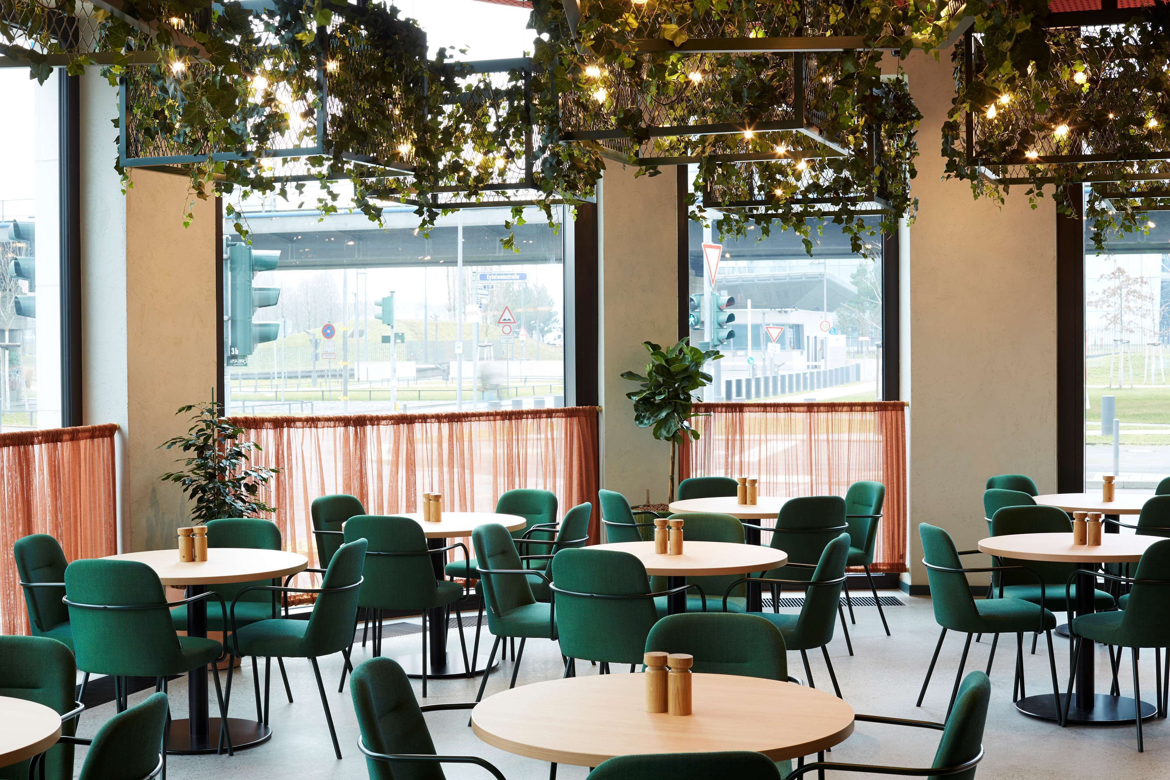 A restaurant with round tables and green chairs, large windows with curtains, and hanging plants.