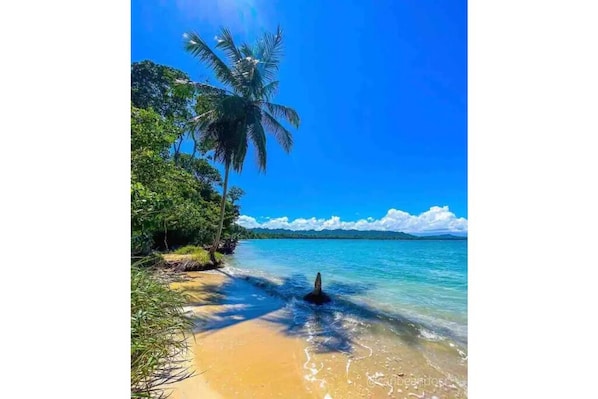 Playa en los alrededores