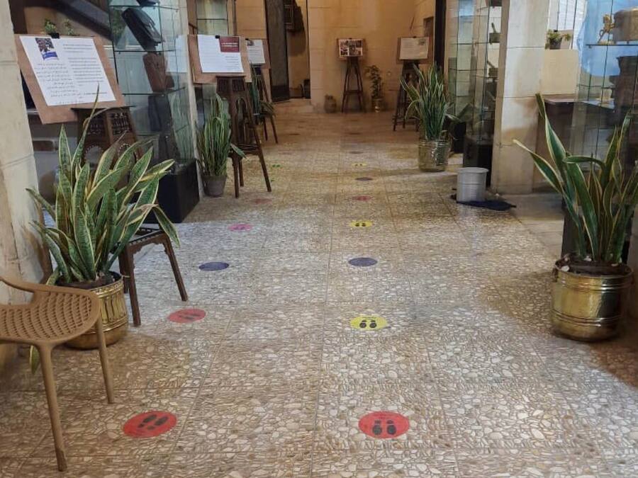 Un vestíbulo con piso de mosaico, plantas en macetas y una araña.