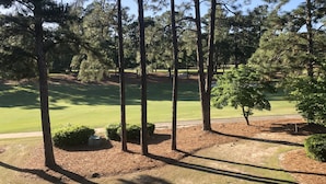 Vista di un campo da golf con alti pini, un verde curato e un cielo sereno.