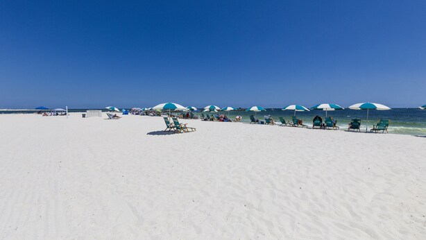 Una playa con hileras de sillas de descanso verdes y sombrillas azules.