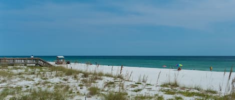 بالقرب من الشاطئ