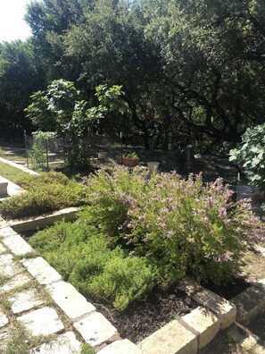 Property grounds - Creek Chic Home in Old Lakeway (Lakeway)