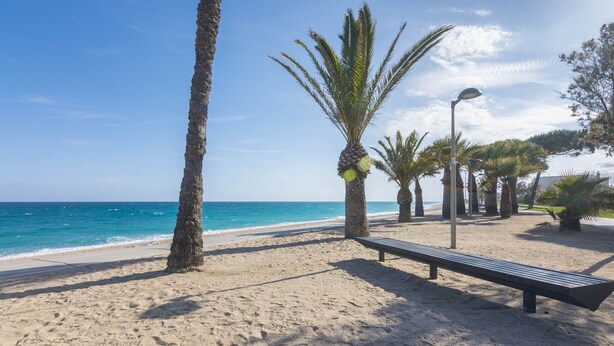 A beach with a bench, palm trees, and a street lamp. - HomeHolidaysRentals Benoit - Costa Barcelona (Pineda de Mar)