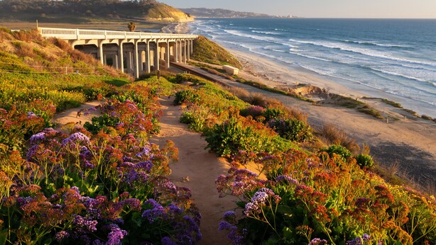 Un paysage côtier avec un pont, une plage et un sentier bordé de fleurs aux couleurs vives.