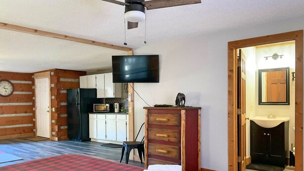 A room with a bed, a television, a kitchen area, and a bathroom. - Studio B on Main St in Helen - Walkable to restaurants and attractions (Helen)
