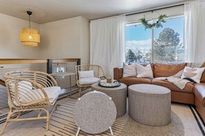 Smart TV, fireplace, books