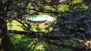A pool surrounded by lush greenery and trees. - Casita Antigua Cerquita del Lago (Villa del Dique)