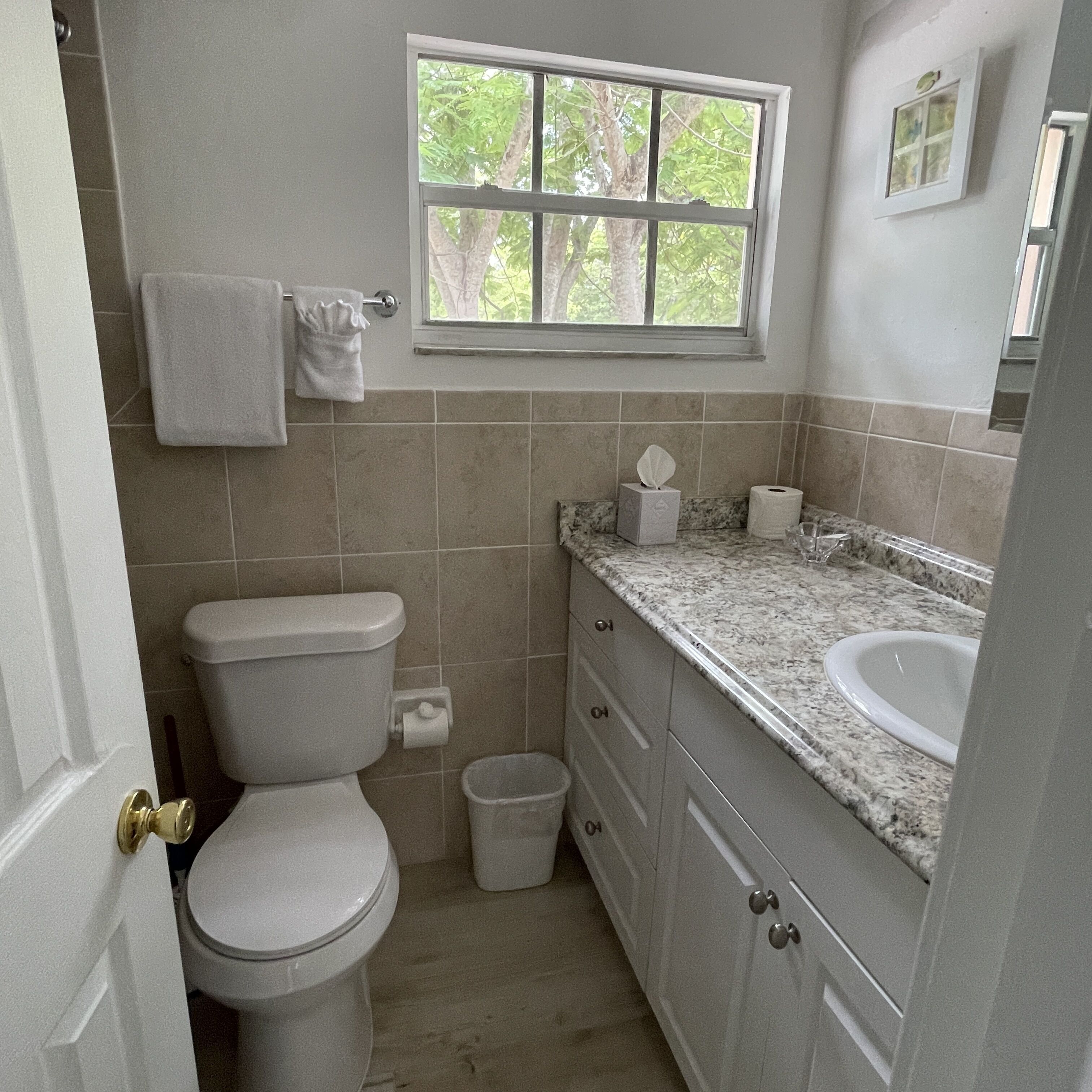 A bathroom with a toilet, sink, and window.