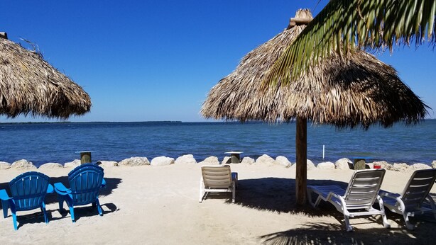 A beach with thatched umbrellas, lounge chairs, and a clear view of the ocean. - Kings Kamp (Key Largo)