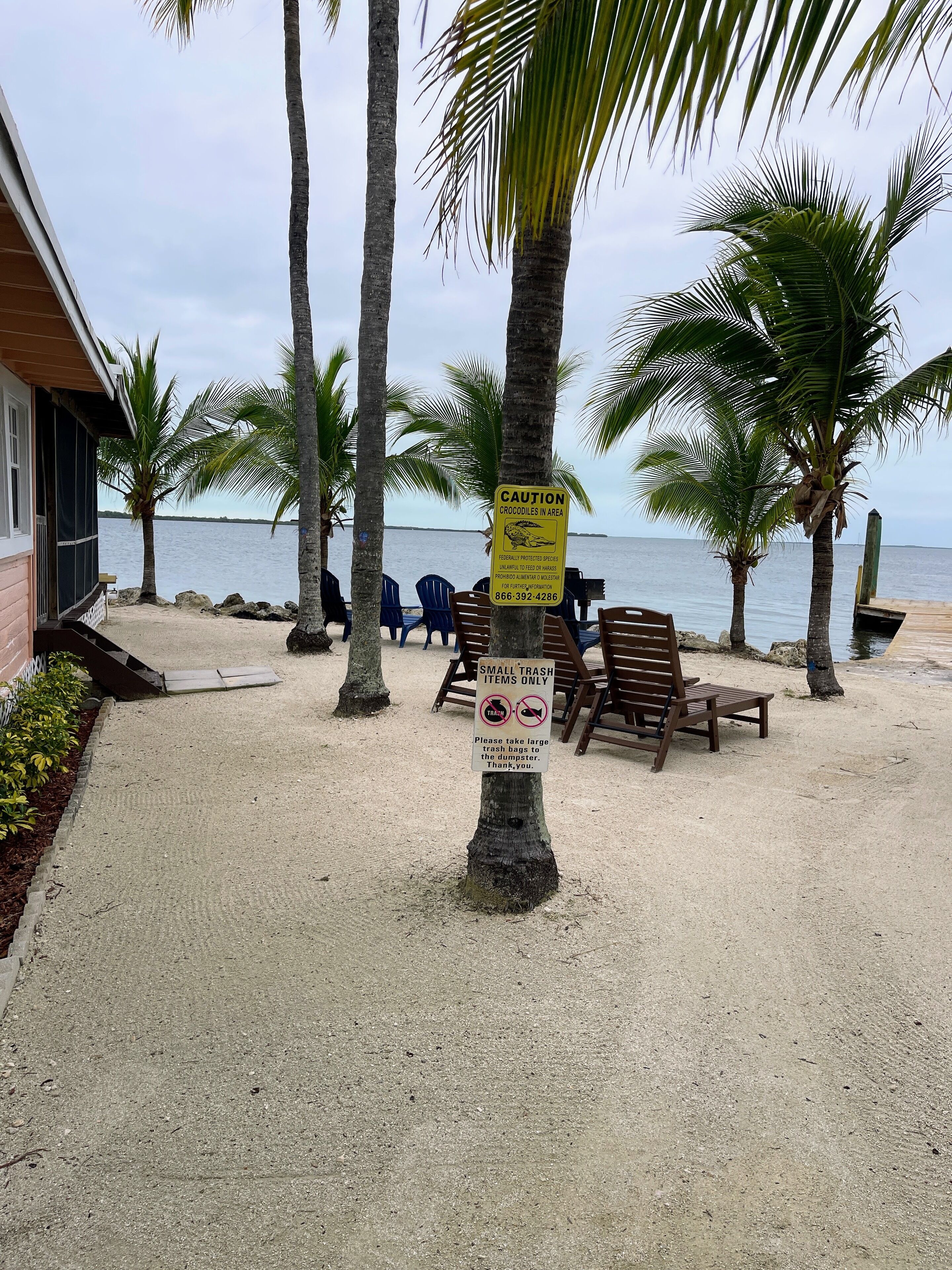 Een strandgebied met palmbomen, een bord met waarschuwing voor krokodillen en een bord dat aangeeft dat alleen klein afval is toegestaan.