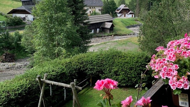 Ländliche Landschaft mit Häusern, einem Holzzaun und blühenden Pflanzen.