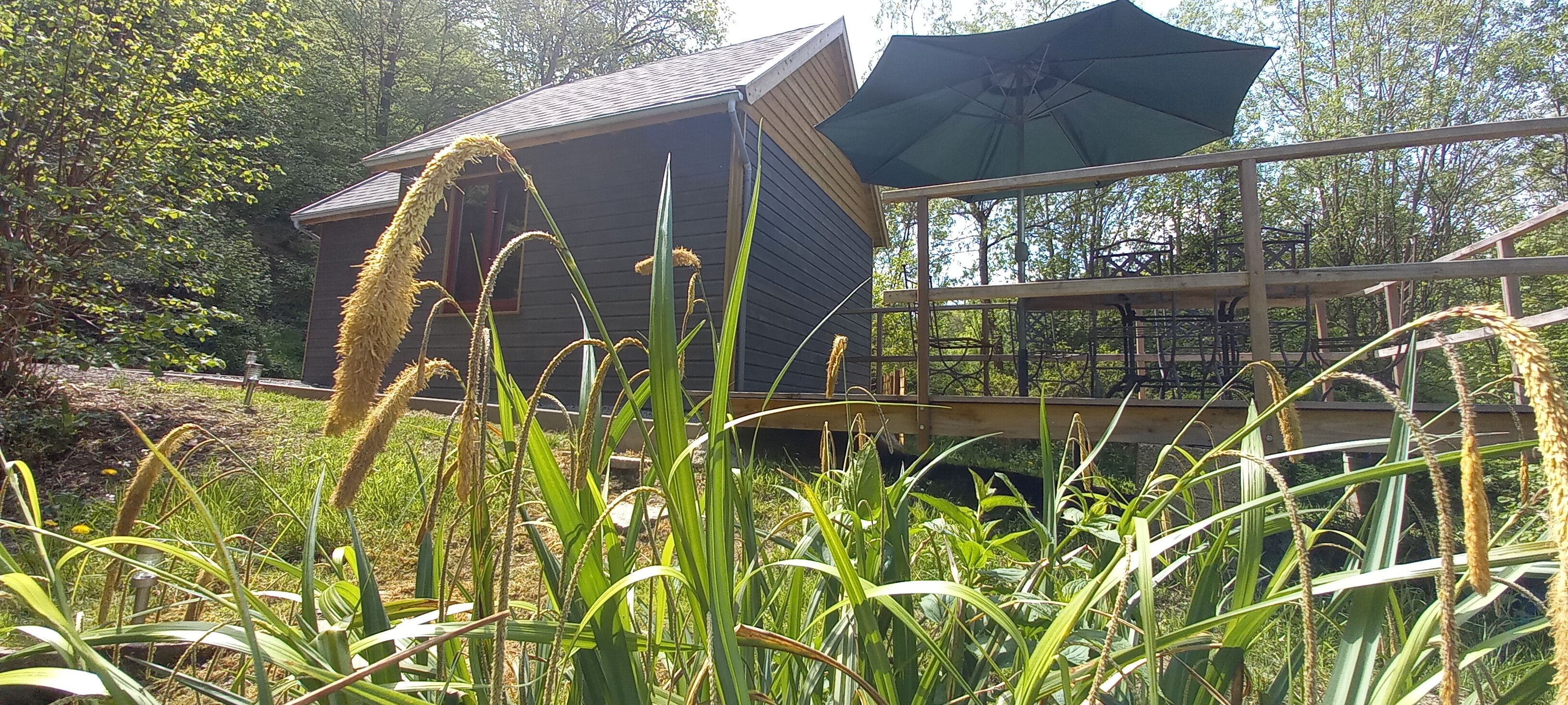 La cabane de Léon - Hébergement insolite