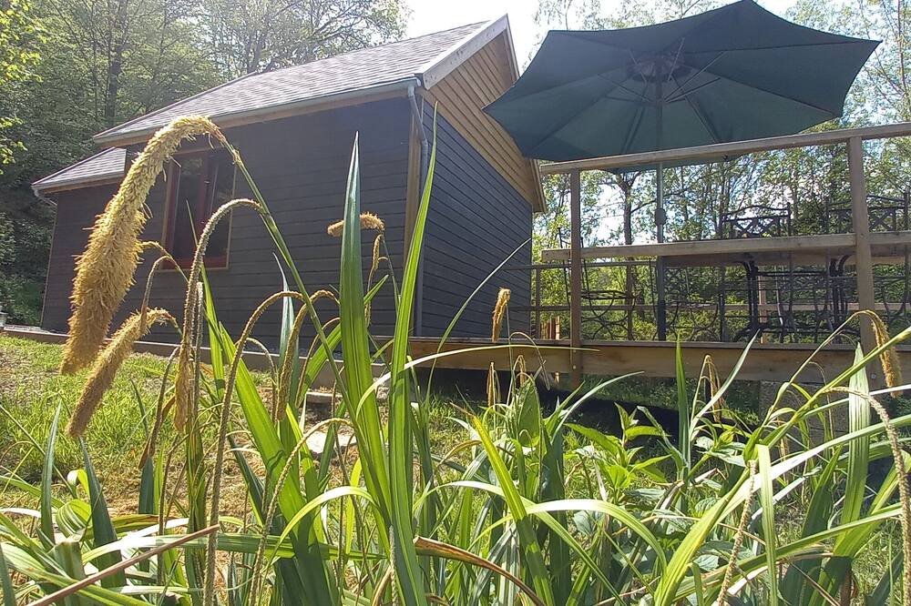 La cabane de Léon - Hébergement insolite