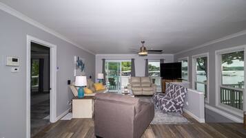 Smart TV, fireplace, books