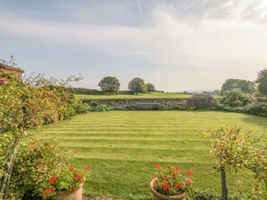 A well-maintained lawn with a stone wall and a bench, surrounded by lush greenery and trees.