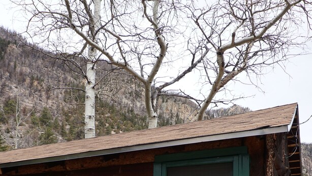 Une cabane rustique avec une porte verte, une fenêtre munie d’un moustiquaire et une chaise en plastique verte à l’extérieur.