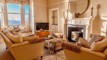 TV, fireplace, books