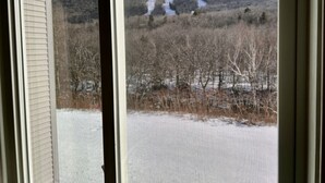 A view through a window with a snowy landscape, a clear sky, and a mountain in the distance.
