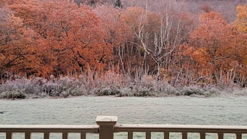 施設の敷地