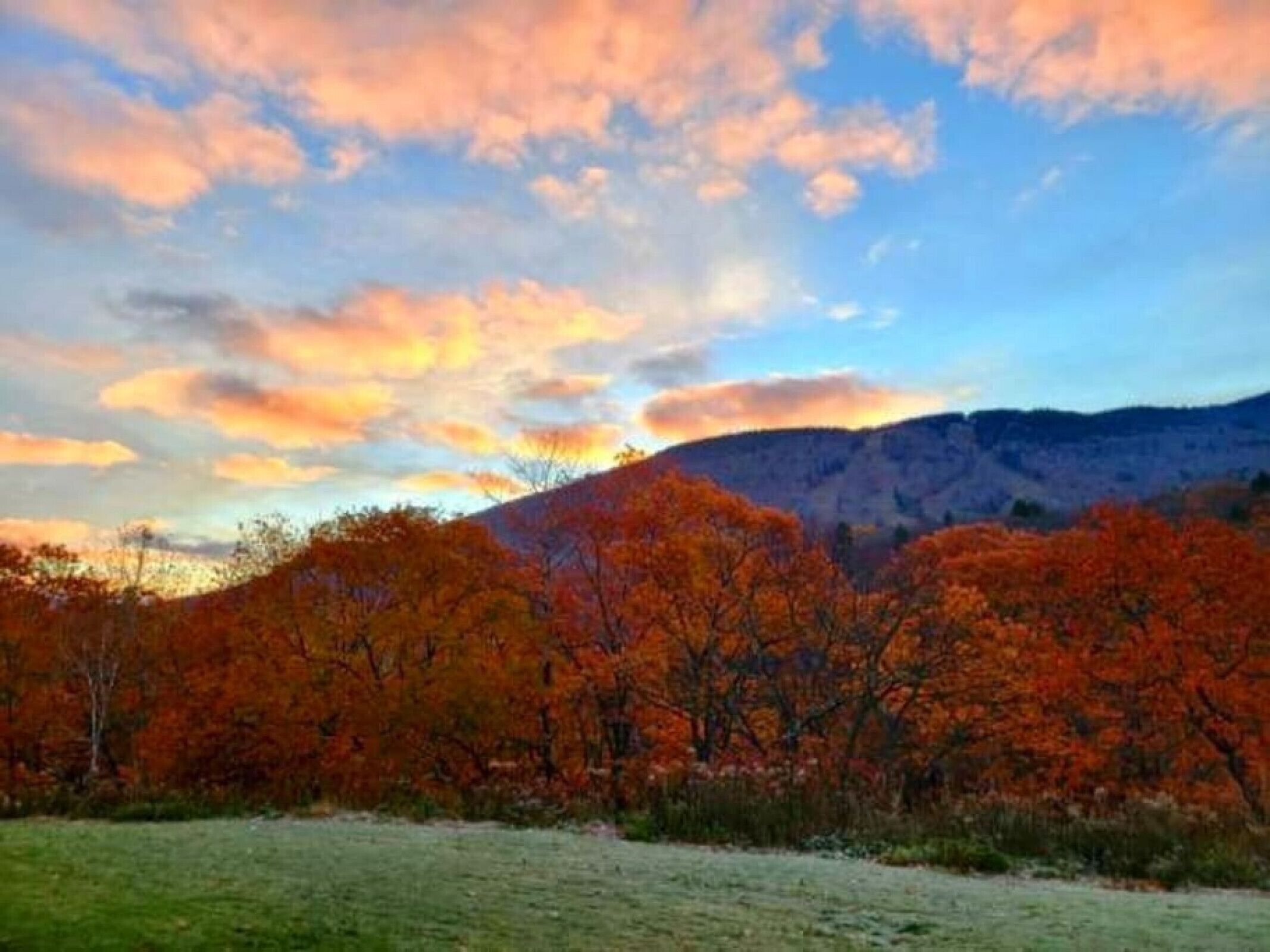 A landscape with autumn foliage and a mountain in the background.