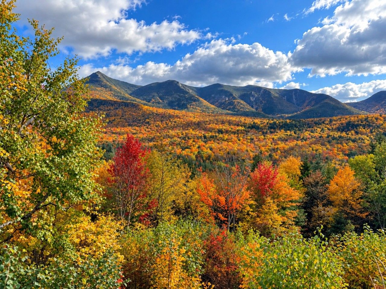 Een bergachtig landschap met herfstkleuren.
