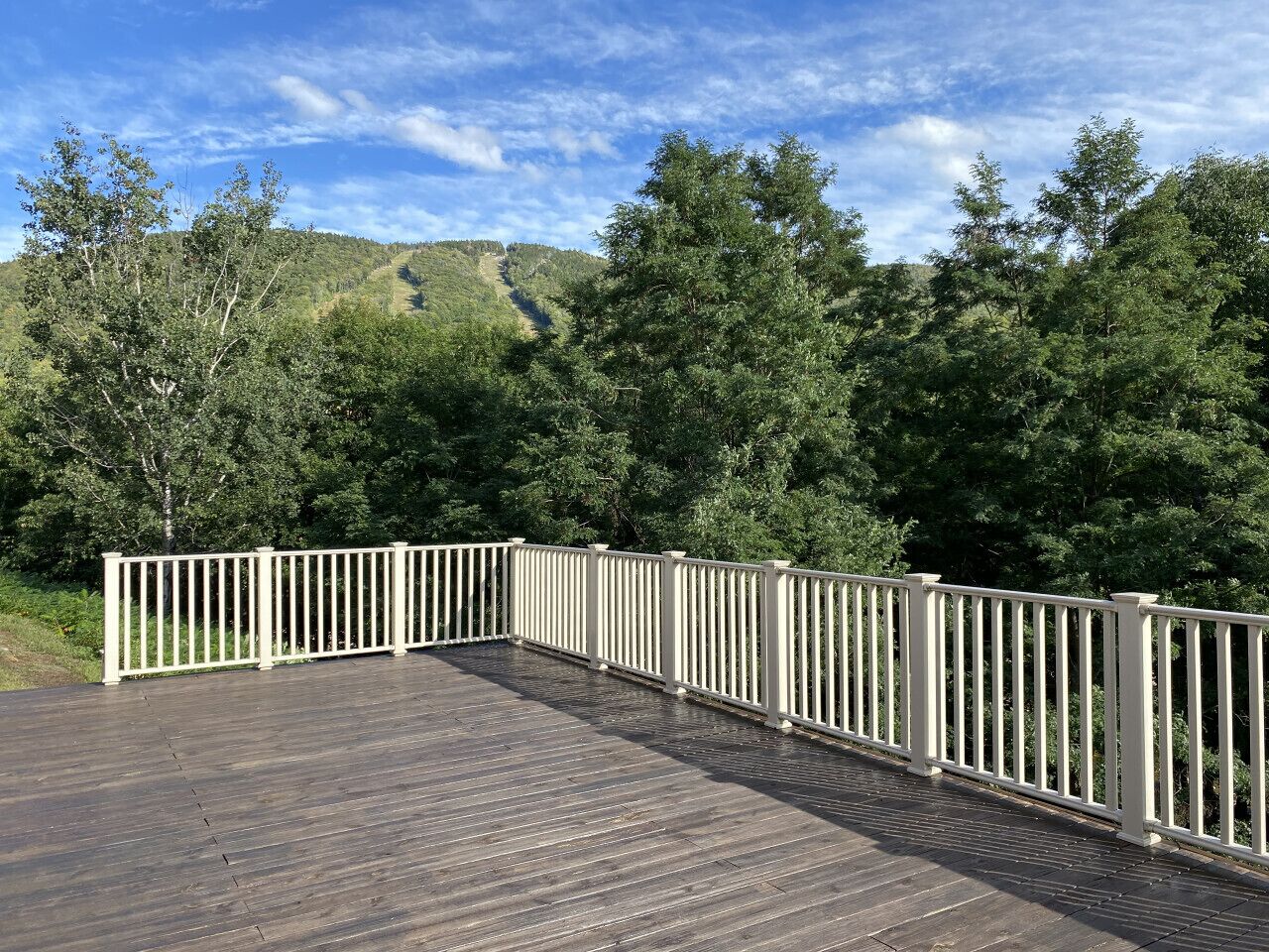 A wooden deck with white railings, surrounded by dense green trees and a clear sky.