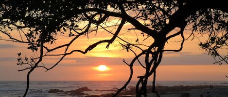 靠近海滩、沙滩毛巾