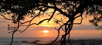 Casita Colibrí at the surf Playa Negra