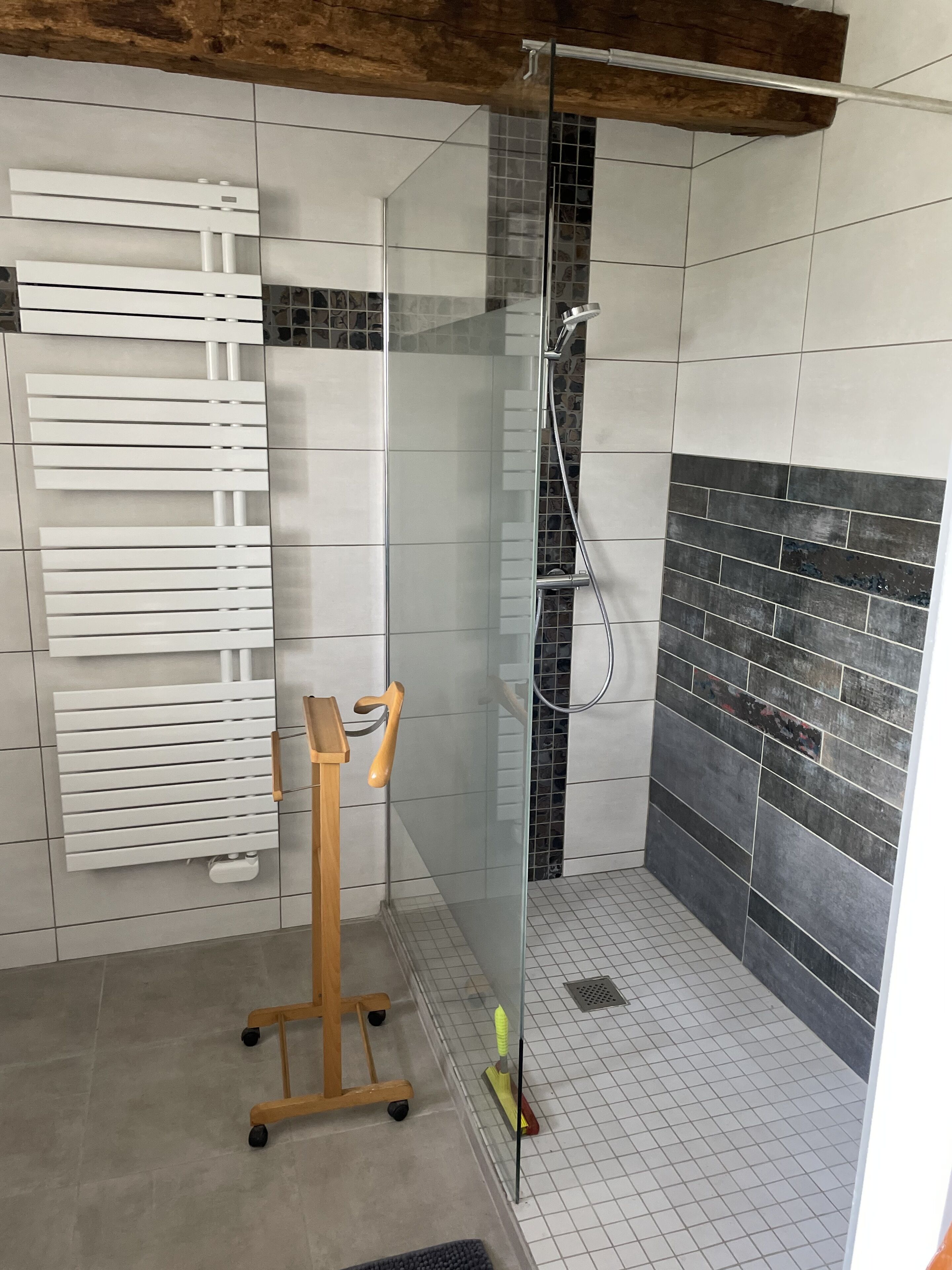 Shower, towels, toilet paper