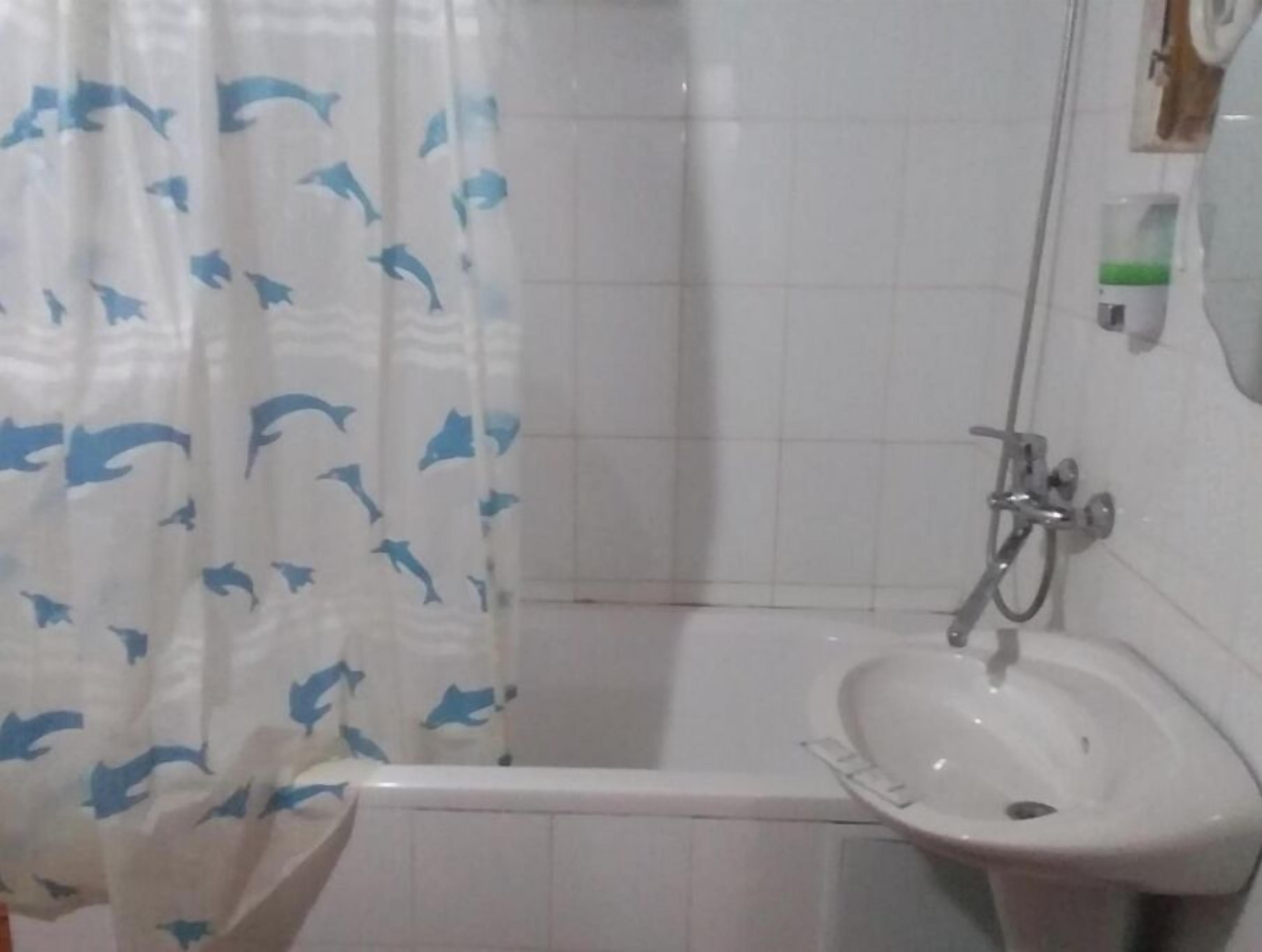 A bathroom with a shower, a sink, and a curtain with dolphin patterns.