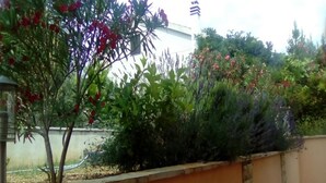 Un jardin avec différentes espèces de plantes et, au fond, un bâtiment blanc.