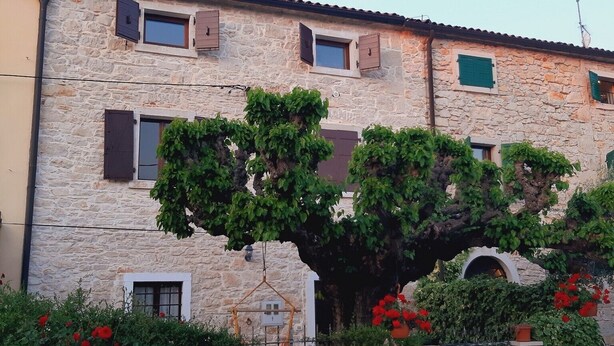 Edificio de piedra con varias ventanas, una silla colgante y una variedad de plantas y flores en el jardín.