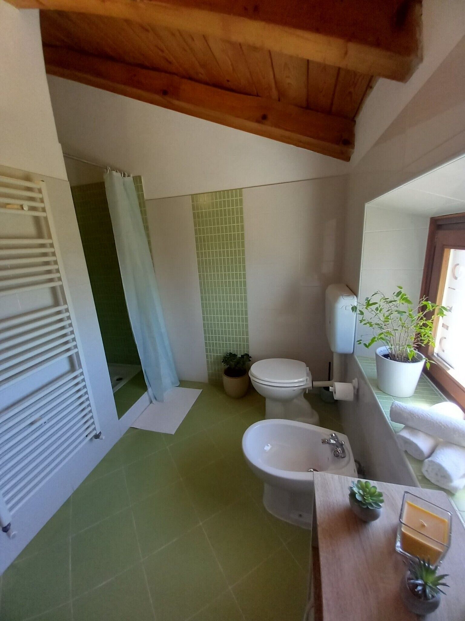 A bathroom with a shower, toilet, bidet, and sink. There are two potted plants on the sink area.