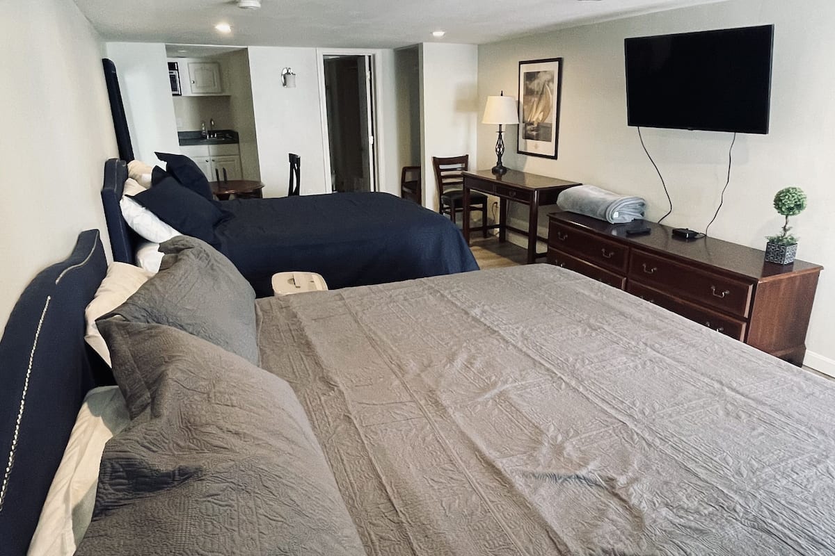 A hotel room with a large bed, a desk, a chair, a TV, and a small plant.