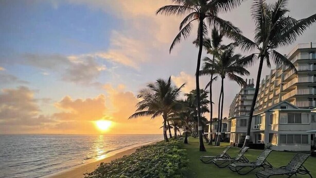 Hotel sulla spiaggia con palme, vista luminosa sull'oceano e una fila di lettini.